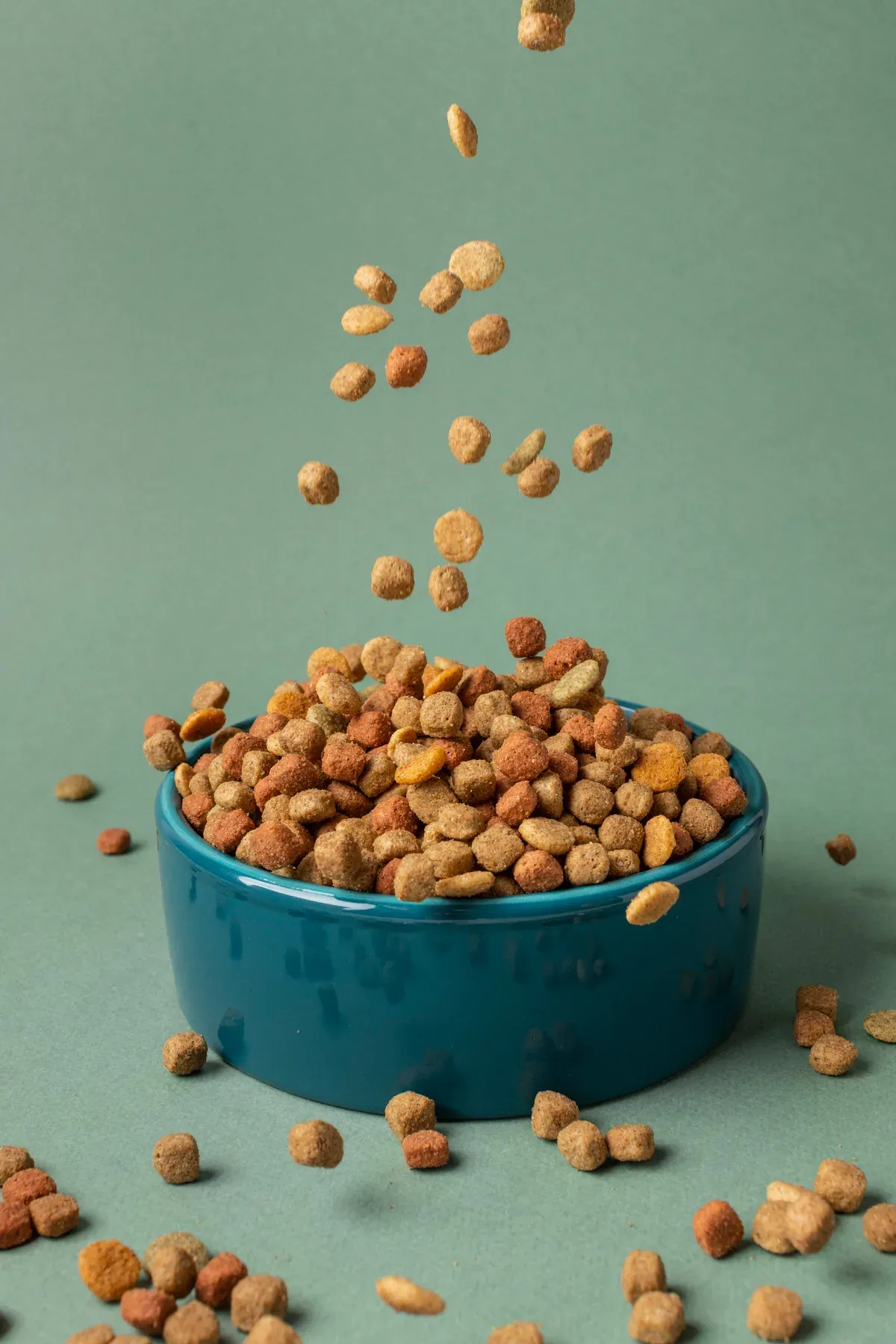 Nutrição Premium